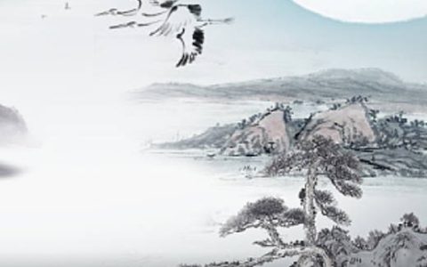 手机号码伏位能加在天医前吗 聚财转运的手机尾号