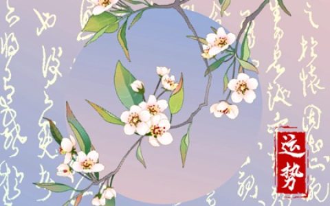 2024年星座运势排行榜：哪些星座将迎来运势巅峰？