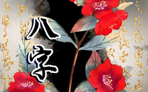 车牌号最不吉利的尾数 车牌的学问讲究