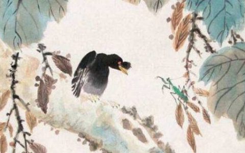手机号天医磁场49和94的区别 手机号码能量大吉推荐