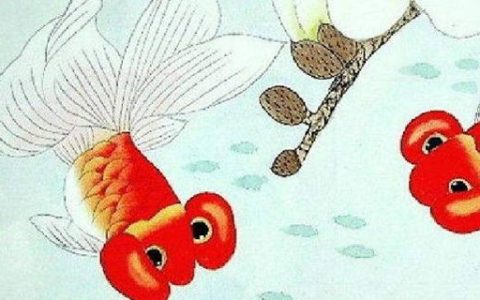 伏位加天医手机号331和133 盘点最强能量转运的数组