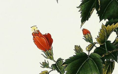 天医加延年结尾最佳号码组合 最新旺运吉祥的手机尾号
