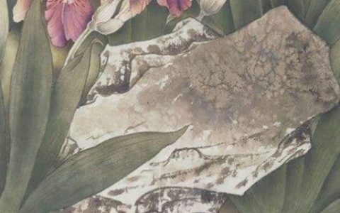 天医数字能量学吉凶 盘点好运吉祥的手机尾数