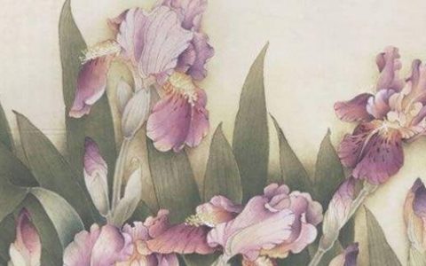 天医加天医数字号码磁场 聚财旺运的手机尾号