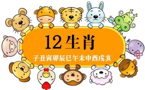 十二生肖五行属性对照表完整版