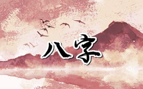 车牌号最少几个数字 满分靓号的车牌推荐
