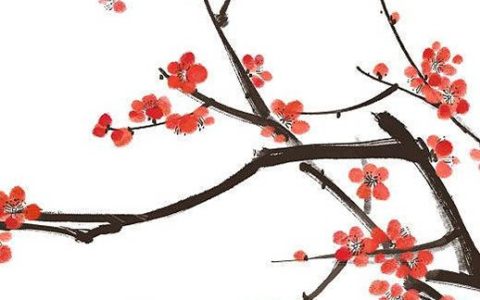 数字磁场解读手机号码 天医磁场正财运的手机号码