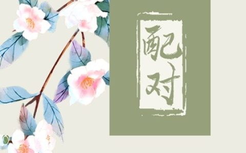 车牌号不能用的字母风水 推荐好的车牌号码数字
