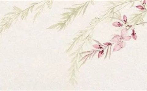 手机号码天医磁场68和13的区别 哪个手机号码更吉祥