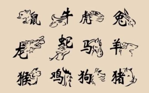 一等命的五个生肖是什么