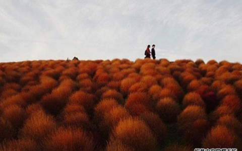 测什么样的缺点会让朋友疏远你