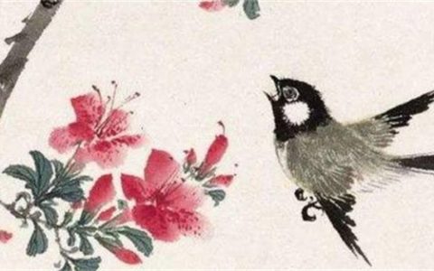 天医13和31的分别 手机号码13和31哪个好