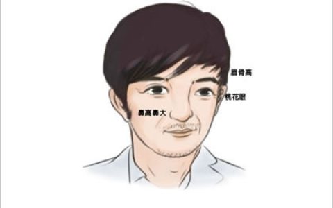 男人左眉毛里有痣图解 左眉有痣有财运