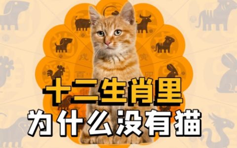 十二生肖为什么没有猫