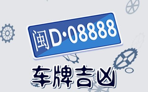 旺财的车牌号 888 财富丰盈