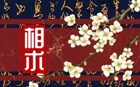 腰上长胎记什么意思 生活富贵思想成熟