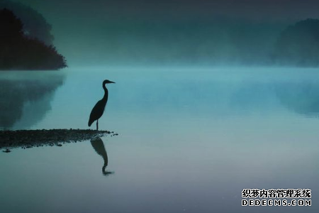 测你容易被朋友出卖吗