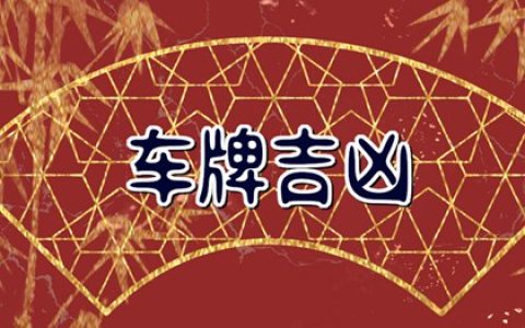 哪些车牌号发大财 数字递增财源滚滚