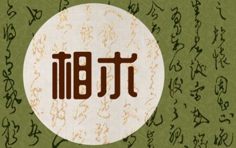 单眼皮分几种眼型 单眼皮和双眼皮哪个稀有