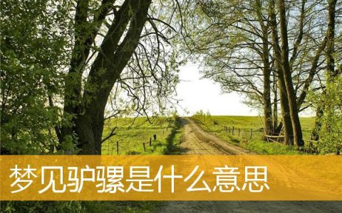 梦见驴骡怎么回事 梦见驴骡有什么预兆