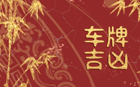 1990年属马幸运车牌 吉祥旺运的车牌数字寓意