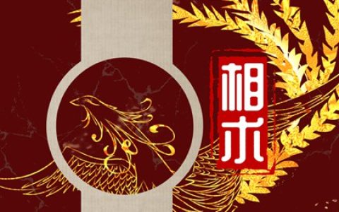 有魅力男人面相 地阁丰满有魅力