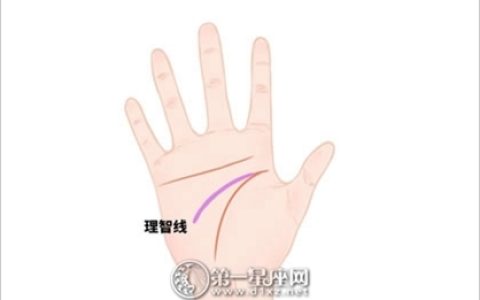 女生手相图解大全 天生就有少奶奶命手相