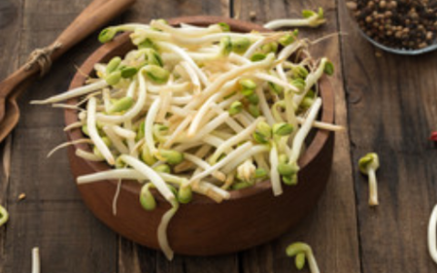 梦见豆芽是什么意思 周公解梦梦见豆芽解析