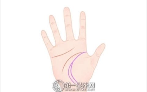 女手相图解 女人左手心长痣位置图解
