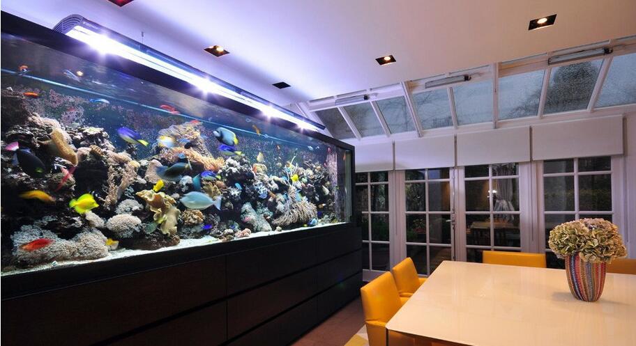鱼缸摆放风水，家居鱼缸摆放风水之方位的选择