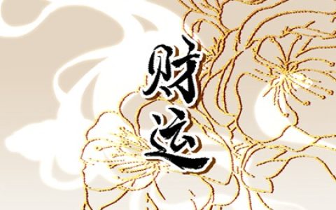 1980年属猴选车牌号尾数 最聚财吉祥的车牌数字