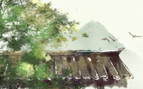 82年属狗的幸运车牌号 车牌号8和9哪个好