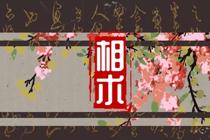 八字眉毛的女人面相 和蔼可亲心胸宽广