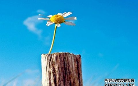 测试你职场的绊脚石