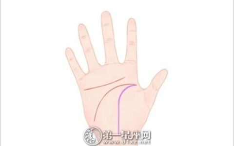 面相手相痣相图解大全 手心长痣位置图解