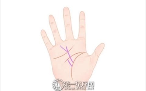 女人左手手相图解大全 女人左手断掌什么命运