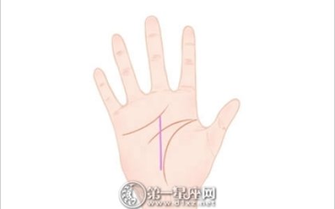 会越来越富的女人手相 享福的手相大全