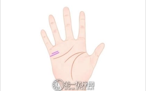 女人手相图解大全 女人右手手相图解大全