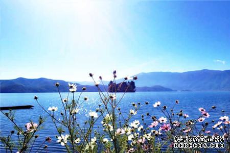 测你追逐人生梦想的劲头有多足