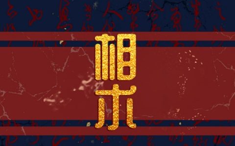 脑门大和发际线高的区别 为什么智商高的人发际线高