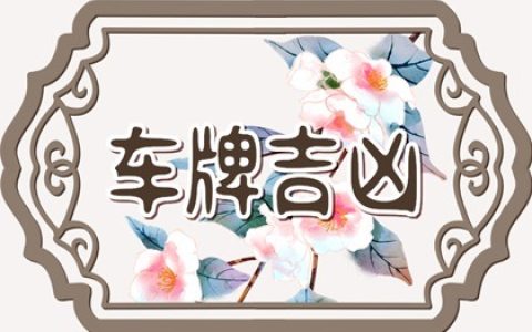 车牌号码字母怎么选择最好 最吉利的车牌字母
