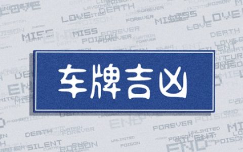新车怎样选号 车牌测试打分免费最新版