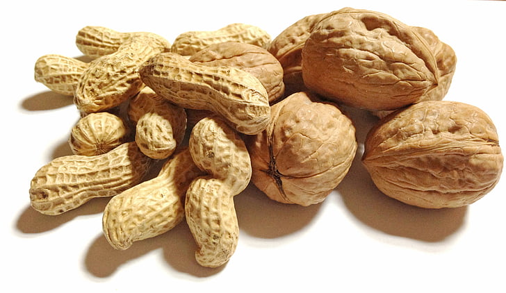 梦见花生是什么意思 梦见花生有什么预兆