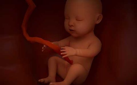 梦见自己生了个死孩子什么意思 梦见自己生了个死孩子预示什么