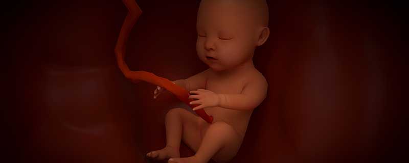 梦见自己生了个死孩子什么意思 梦见自己生了个死孩子预示什么