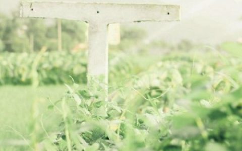 天蝎座表白被拒绝后