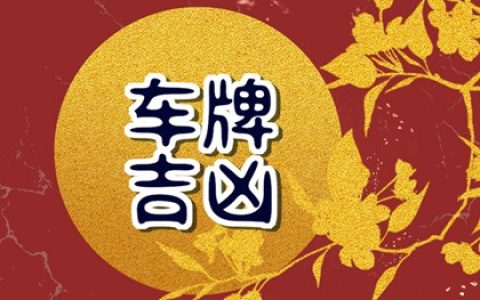 车牌号码吉凶打分测试 怎样查车牌号有没有被选