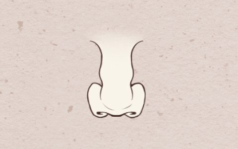 男人面相痣图解 男人鼻子周围的痣图解
