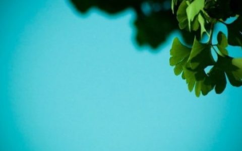 天秤座前任突然联系你