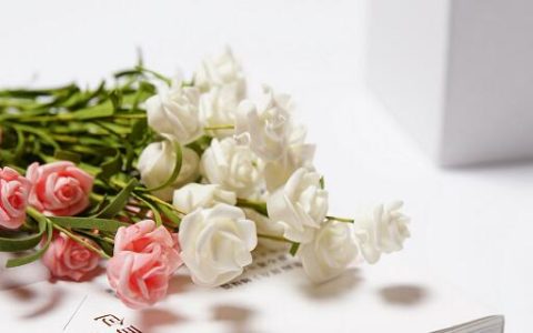梦见假花什么意思 梦见假花预示什么